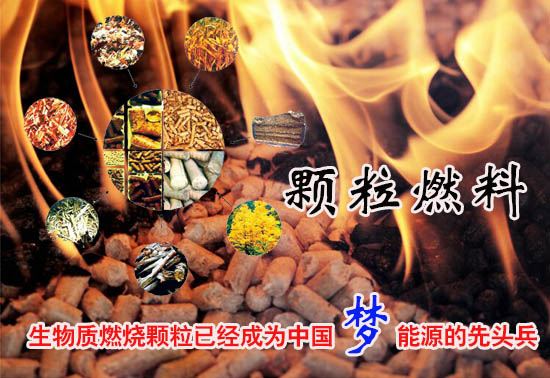 生物質(zhì)燃料顆粒多少錢(qián)一噸！