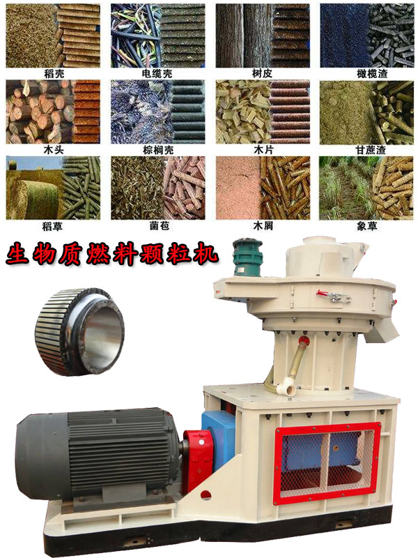 國(guó)內(nèi)外生物質(zhì)燃料顆粒機(jī)應(yīng)用現(xiàn)狀的疑問(wèn)！